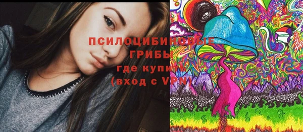 дмт Алексин