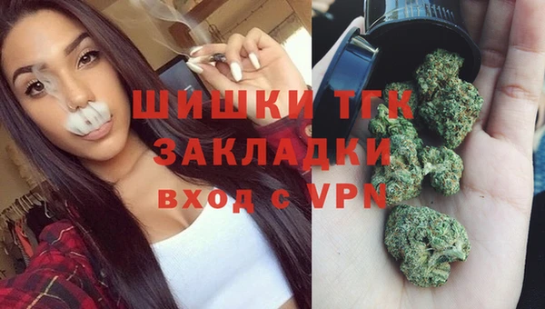 дмт Алексин