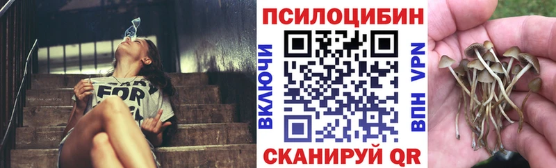 Псилоцибиновые грибы Cubensis где купить наркоту blacksprut вход Алушта