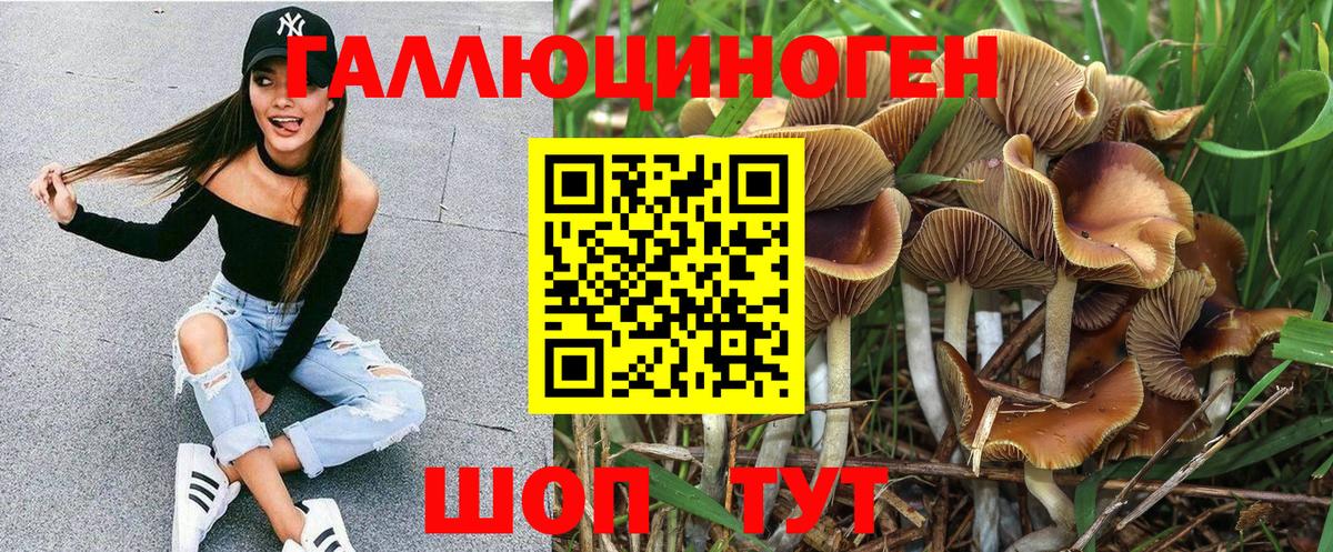Алушта  Псилоцибиновые грибы ЛСД  Вход с VPN 