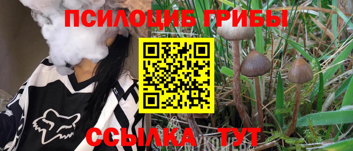 Галлюциногенные грибы MAGIC MUSHROOMS Алушта
